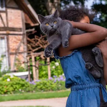 Biohotel Wildland Natural Otel 3*