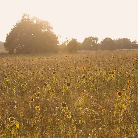 호텔 Biohotel Wildland Natural Hornbostel