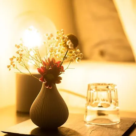 Biohotel Wildland Natural Otel 3*